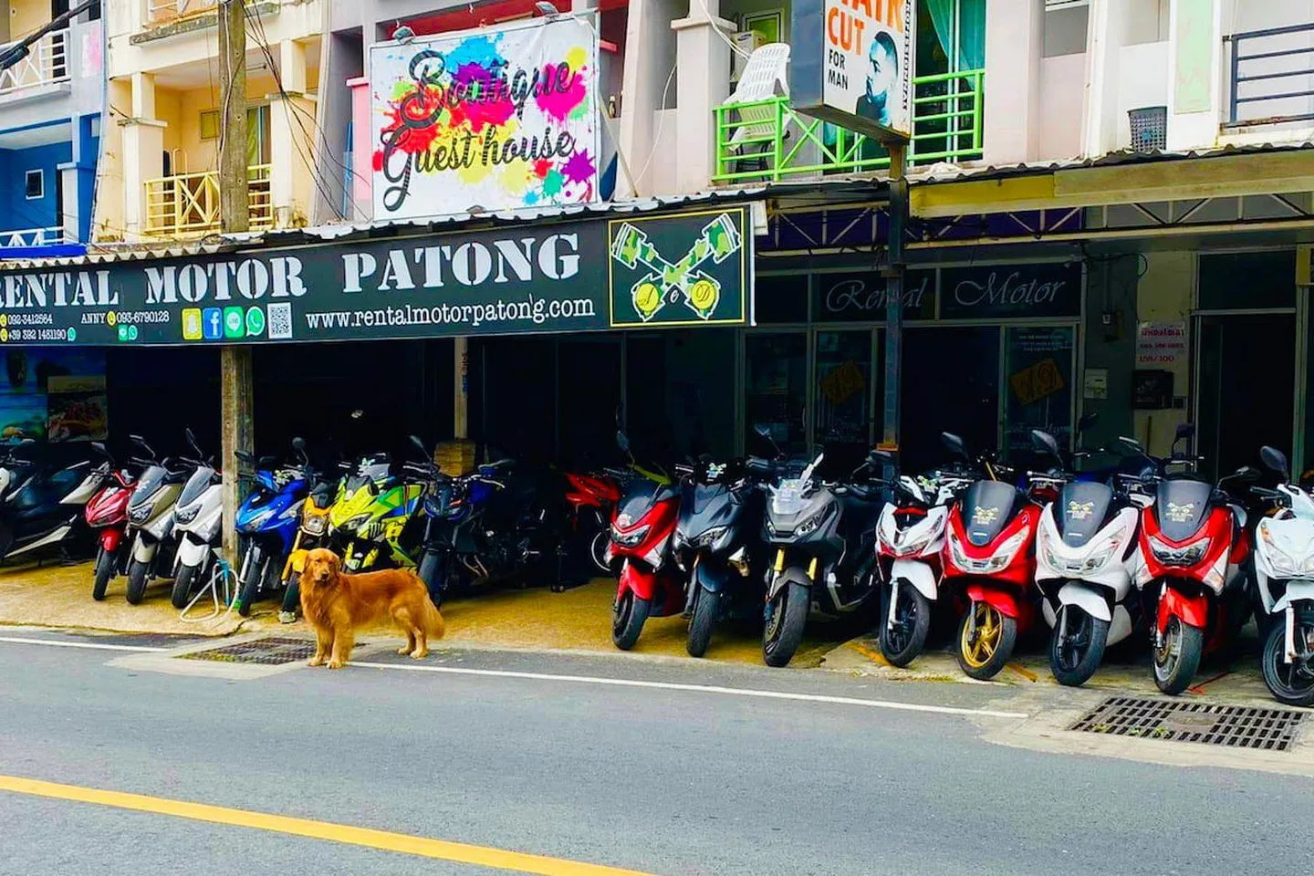 Motor Rental Patong