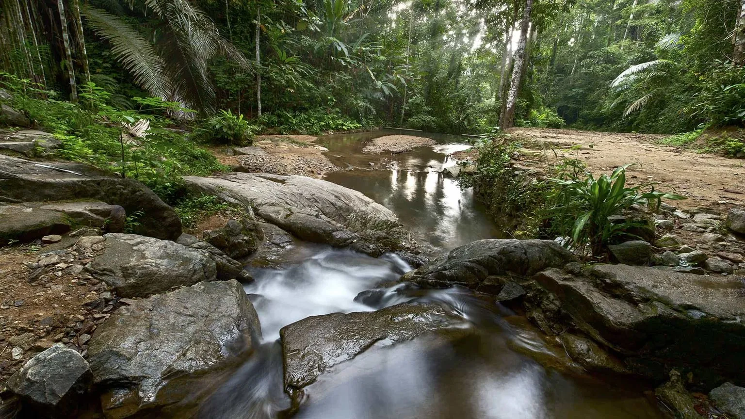 Ton Sai Waterfall-phuket-thailand-1.jpg