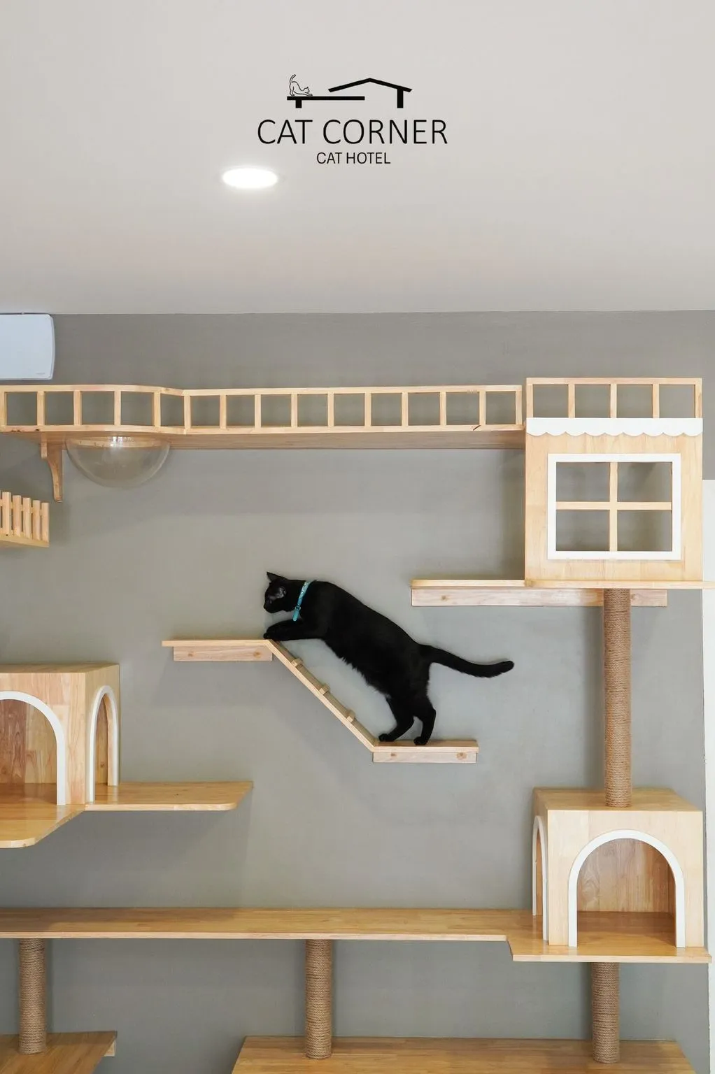 Cat Corner Cat Hotel Phuket