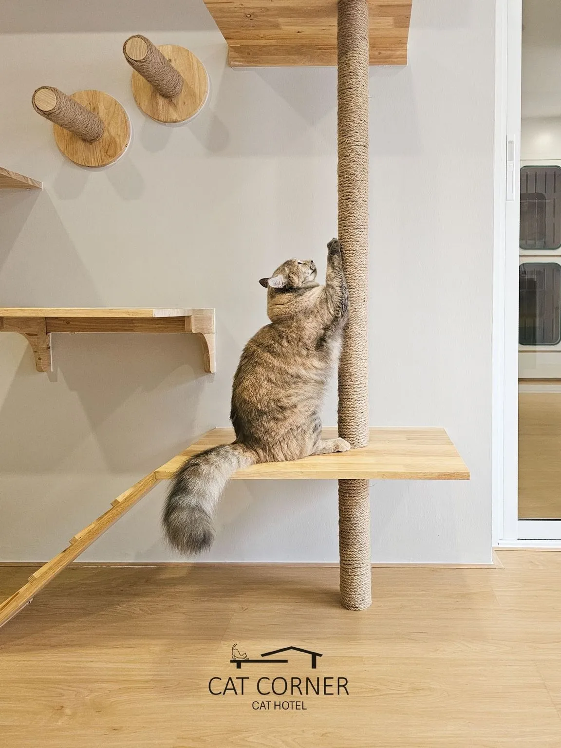 Cat Corner Cat Hotel Phuket