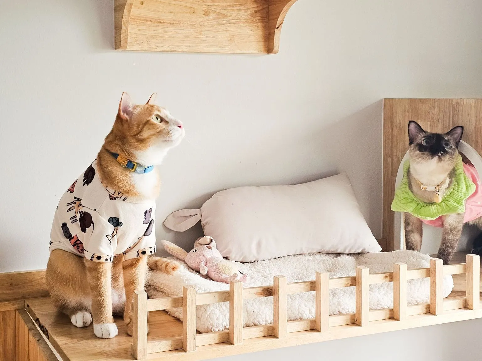 Cat Corner Cat Hotel Phuket