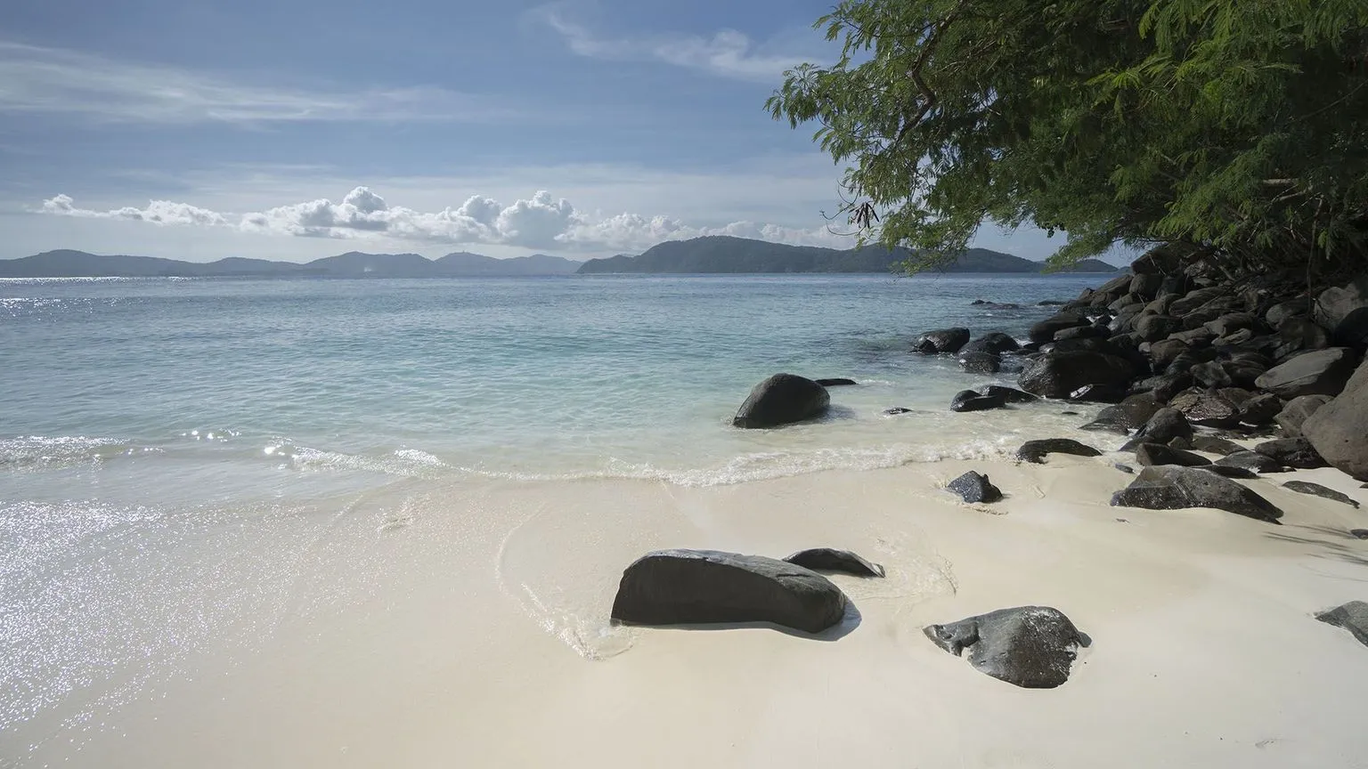 coral_island-02.jpg