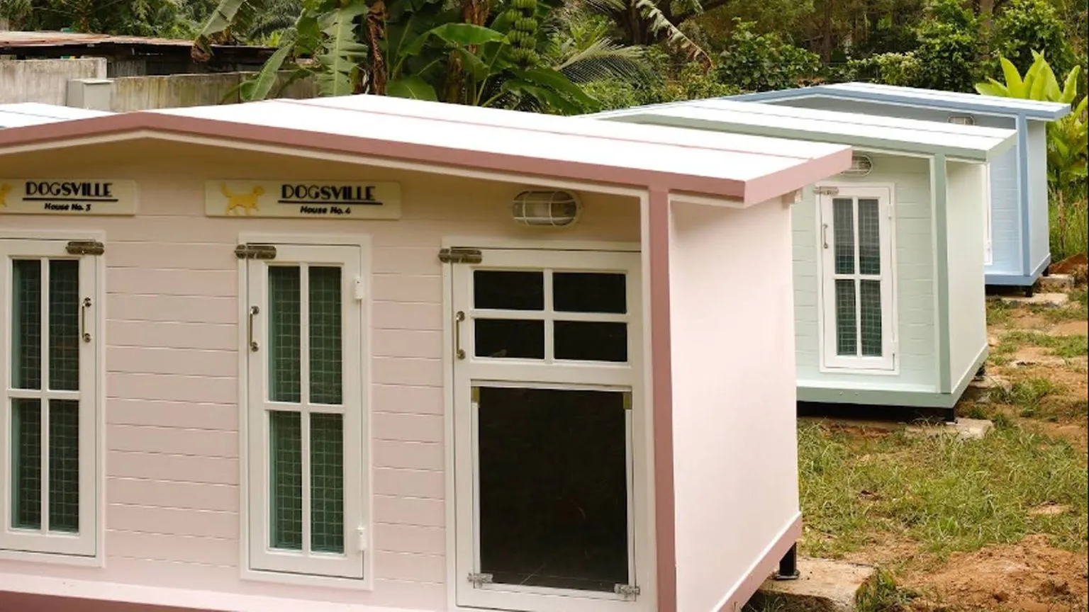Dogsville - Dog Hotel and Training Center 