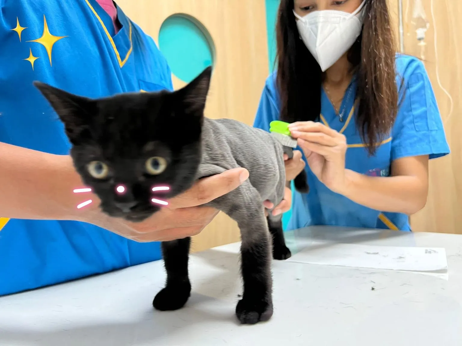 I Rak Pet Hospital