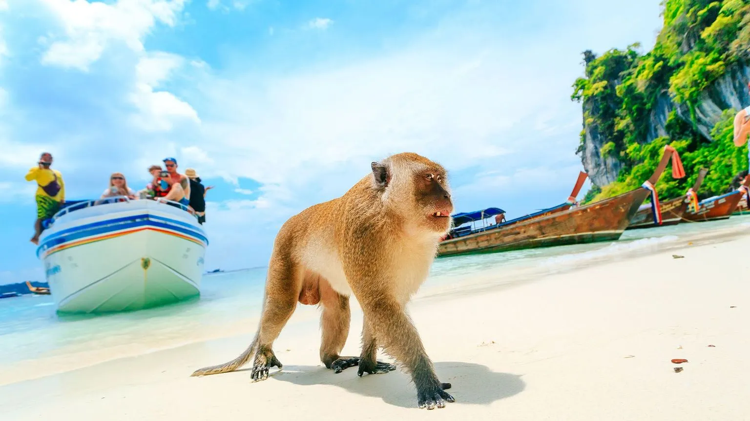 koh_phi_phi-08.jpg