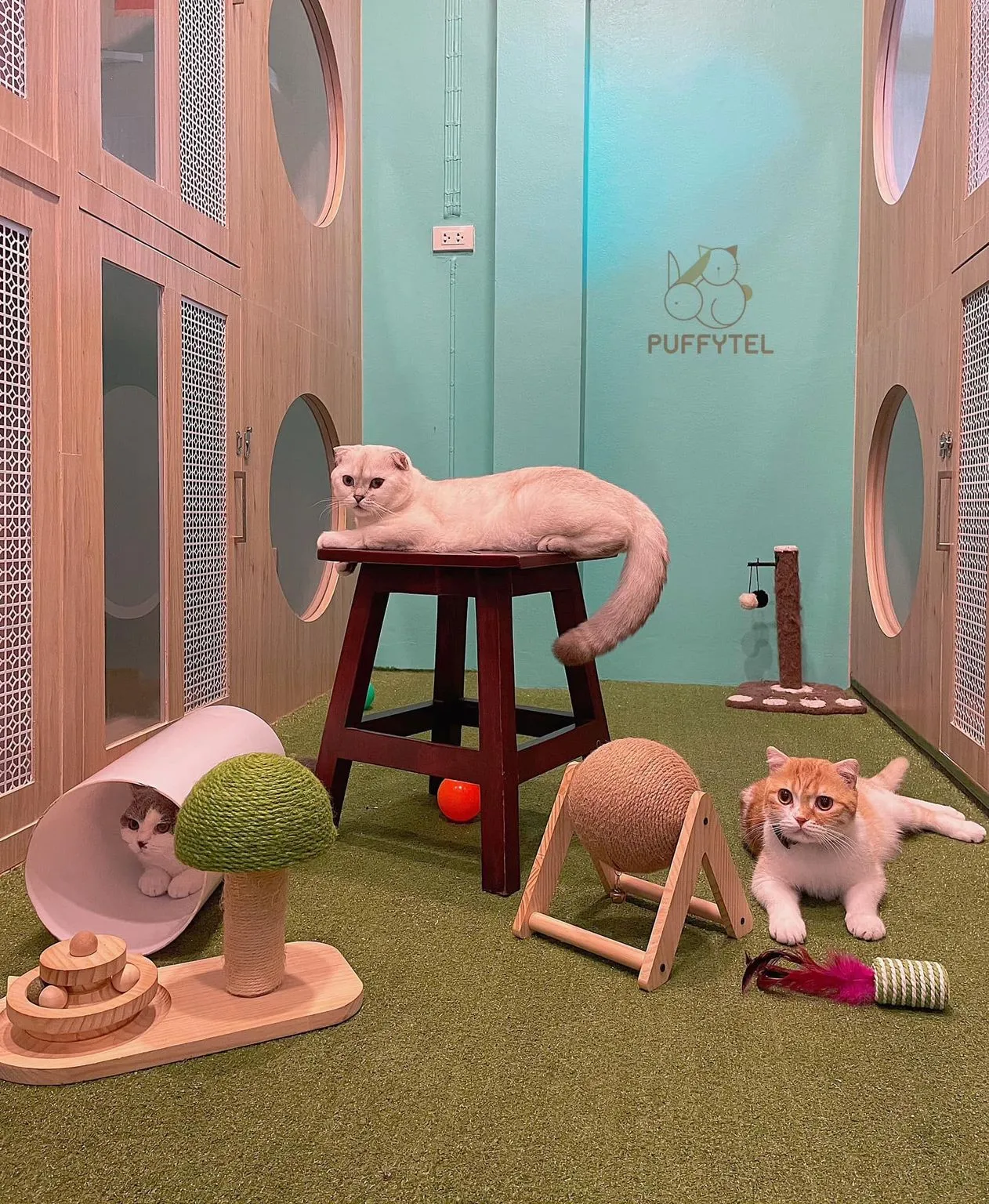 Puffytel Pet Hotel