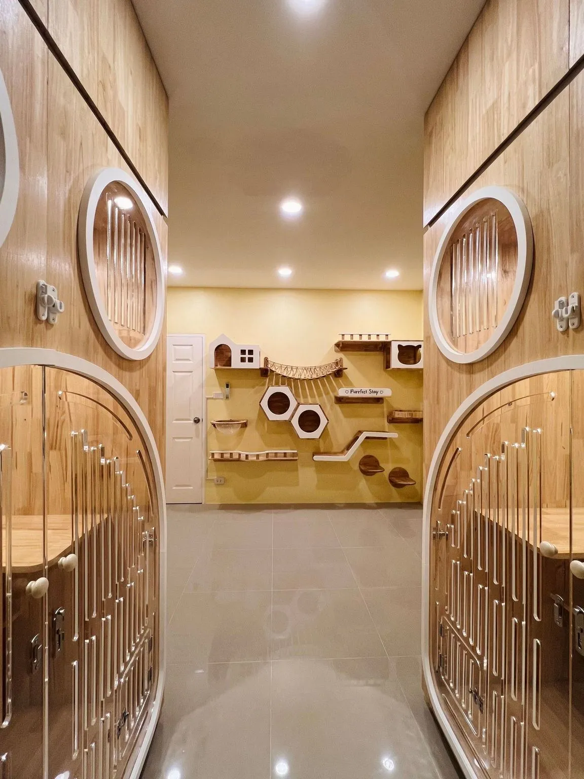 Purrfect Stay Cat Hotel Phuket