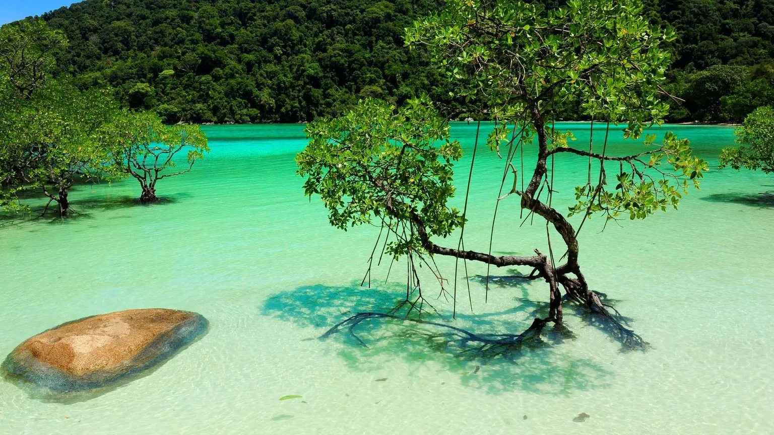 surin_island-02.jpg