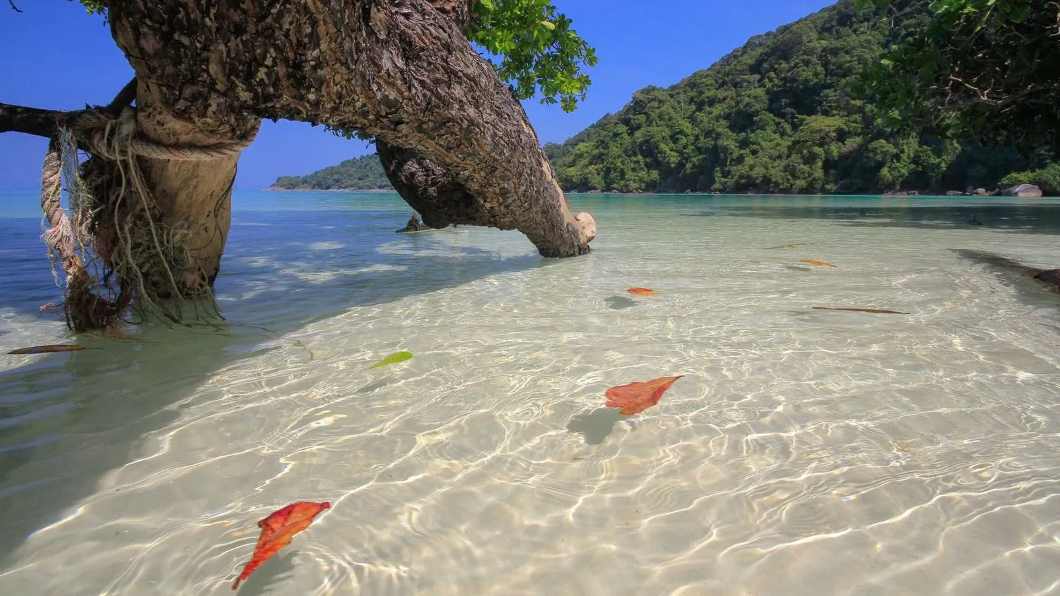 surin_island-03.jpg