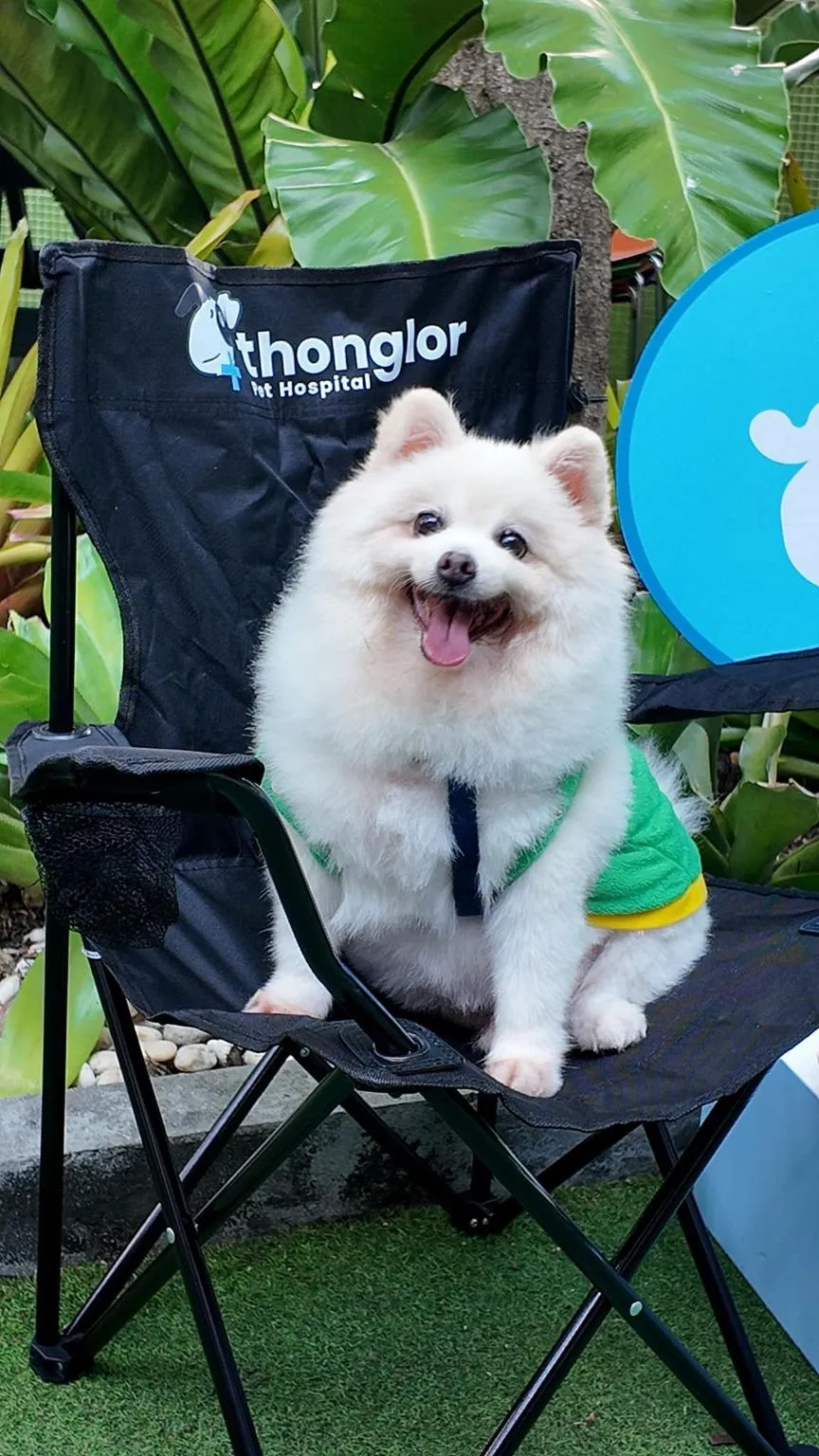 Thonglor Pet Hospital (Chalong)