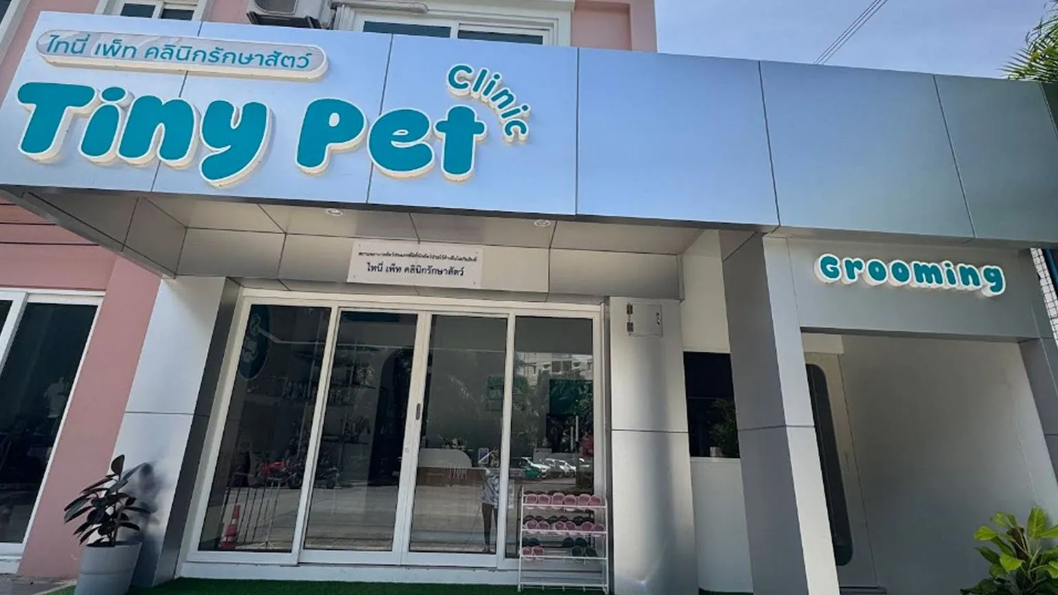 Tiny Pet Clinic