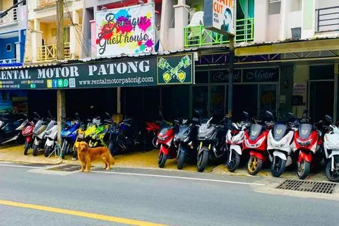 Motor Rental Patong