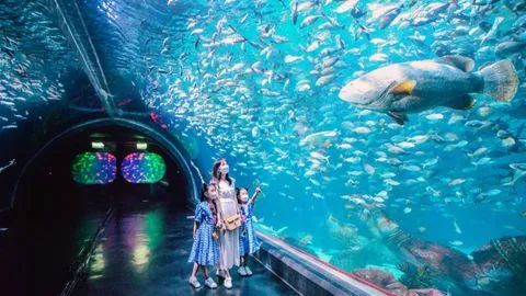 aquarium-park-animals-phuket-thailand.jpg