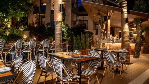 Canopy Tree Bar