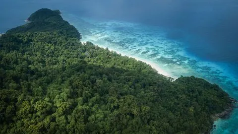 koh_tachai-06.jpg