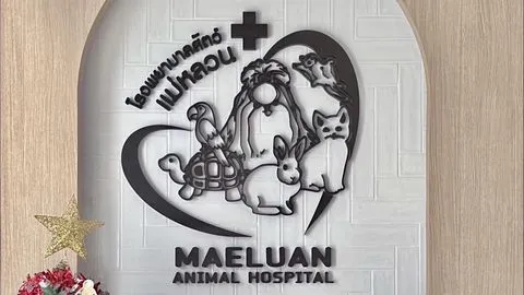 Maeluan Animal Hospital Phuket