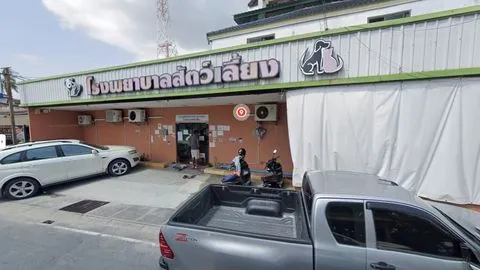 Thalang Animal Hospital