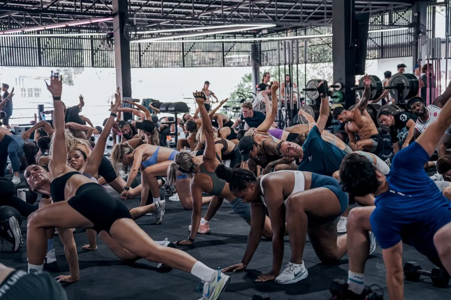 The Cult Fitness Society