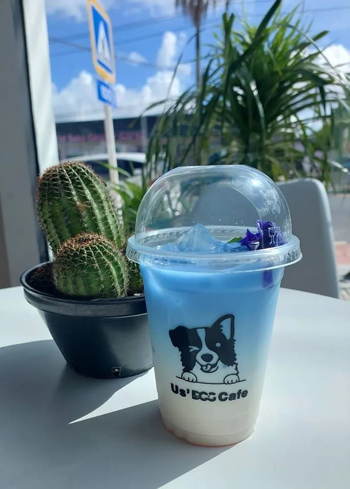 Us'Dog Cafe 